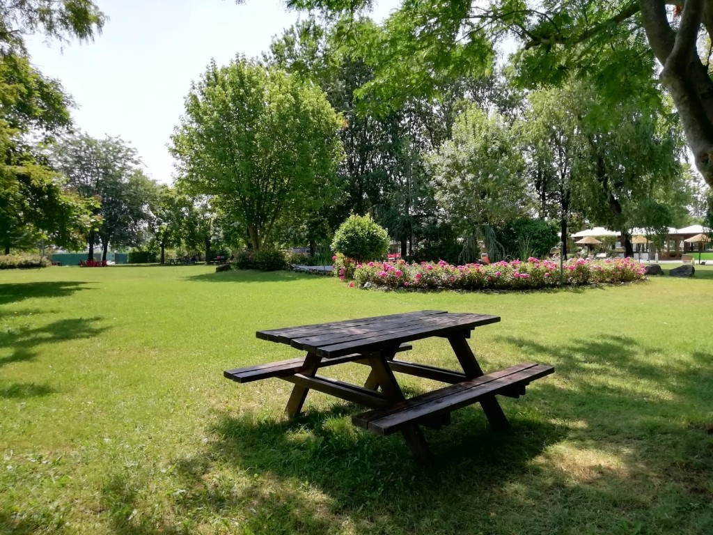 Le ninfee del Garda - foto 9