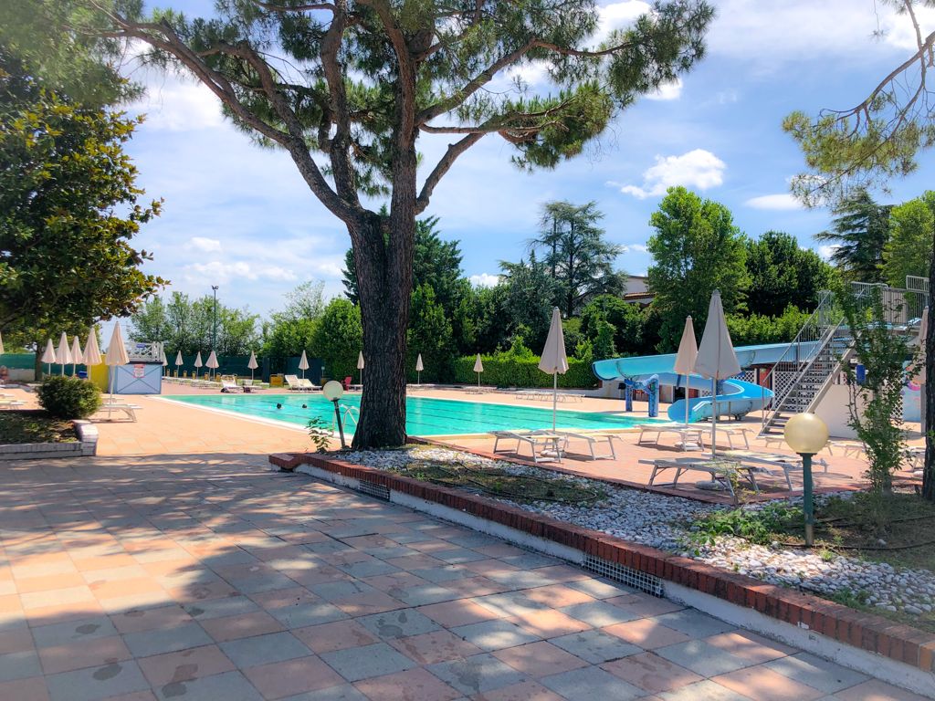 Le ninfee del Garda - foto 10
