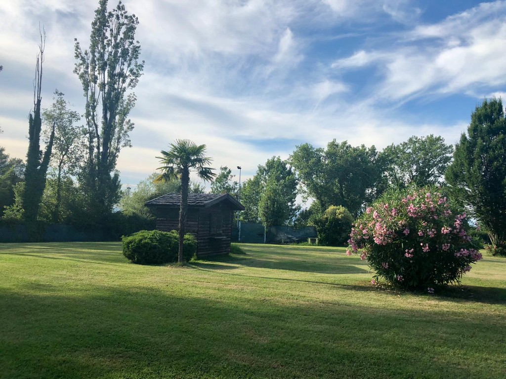Le ninfee del Garda - foto 12